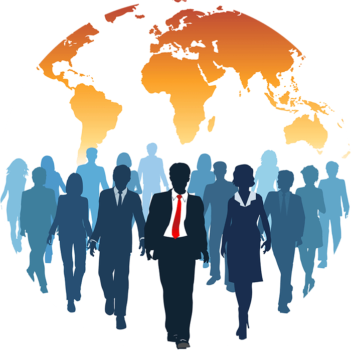 WhiteNet Team Working